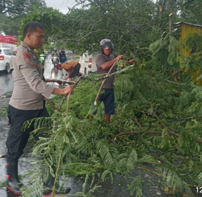 Sigap Bantu Warga, Bhabinkamtibmas Evakuasi Mobil Tertimpa Pohon Tumbang
