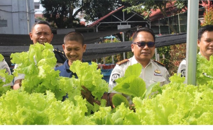 Lapas Narkotika Sungguminasa Panen Sayur Hasil Pembinaan WBP, Bukti Pembinaan Membawa Perubahan