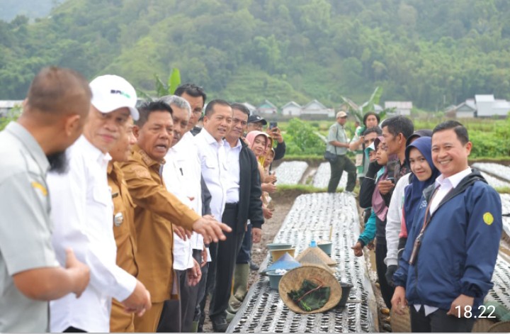 Mentan Amran Pamer Kesiapan Swasembada Bawang Putih di Hadapan Petani NTB, Target Hentikan Impor Maksimal 5 Tahun